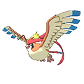 Mega Pidgeot